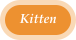 Kitten