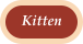 Kitten