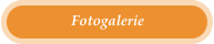 Fotogalerie