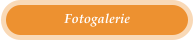 Fotogalerie
